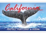 California's New Whale Tail Plate. Image: California Coastal Commission