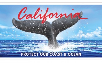 New CA License Plate Saves Whales, Angers Original Artist