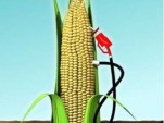 Corn Ethanol Pump
