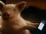 GEICO mascot Maxwell the Pig