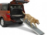 Do Dogs Leave A Larger Footprint Than SUVs? post thumbnail