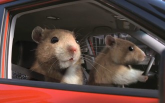 Kia's Hamsters Scurry Off With Nielsen's Top Ad Award At The 2011 New York Auto Show