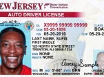Sample driver's license